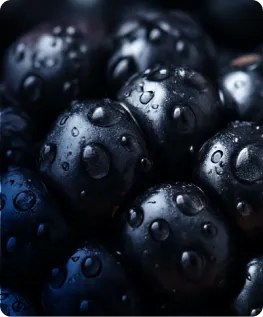 Antioxidants
