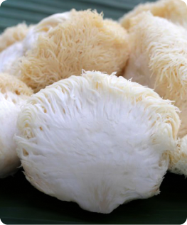 Adaptogens